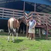 jeonesguedes1
