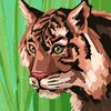 tanshika39