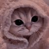 sweetkitten53