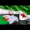 user19541962al