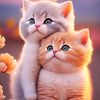 asmahan.alqisi7