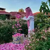 aminmouslih