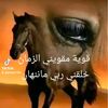 user88401095204687