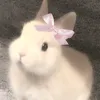7_ezf7