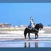jaafar.aslam