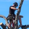 timberhim