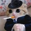 tik_mafia0