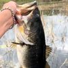 ndfishing13