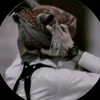 ha105971