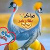user24844684102717