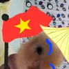 duck_vietnam0o0