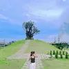 xinhem62