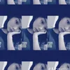 dg.dg132