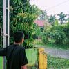 reylex72