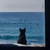 sicatlet