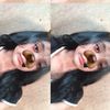 piaajaaa8