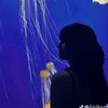 zahra5168