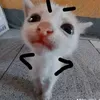 vo_anh71