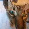 marieetk1dx