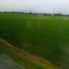 iyum.rumsiah.bj