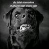 iambim_5
