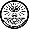 divinecosmicpurpose