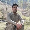 ahmad.shah6231