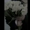 ngh_jn475