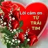 thoa6217