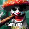 sro_privatik