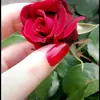 araf55481994