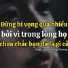 hoahonggai431