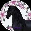 _tiara_sso_