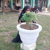 jashim.12342