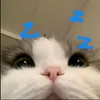 meokolong4