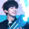 ng_ngan2012