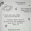 alikarifatul41