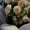 dalal.samir0