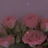 budoudayo_3
