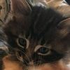 egor_freh