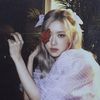 rwlyn_bshyr