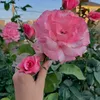user219763096614
