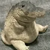 ollie6428