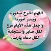 user90187819934238