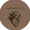 nok_8793