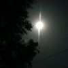 mdshohag83003