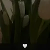 usernamey209