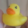 rubber_ducky37