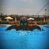 alaa.mamdouh382