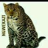 zaza.gomba